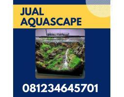 Toko Aquascape Aquarium Bulat - Malang