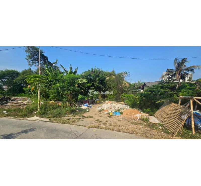 Dijual Tanah Murah Dekat Jababeka di Kp. Cibereum, Cikarang Utara Via Lelang - Bekasi
