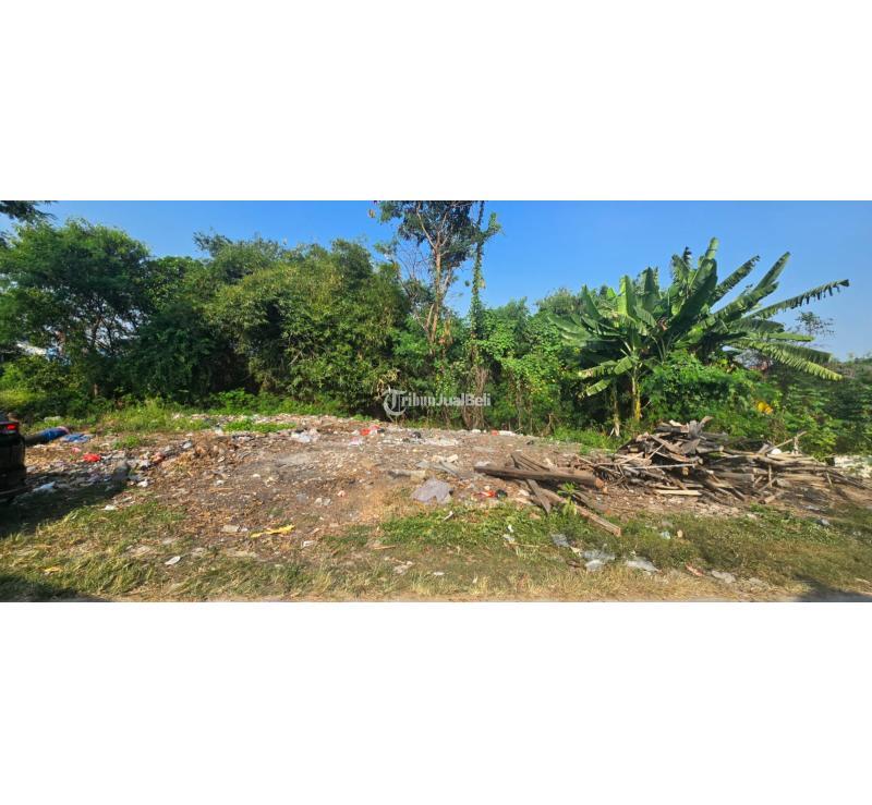 Dijual Tanah Murah Dekat Jababeka di Kp. Cibereum, Cikarang Utara Via Lelang - Bekasi