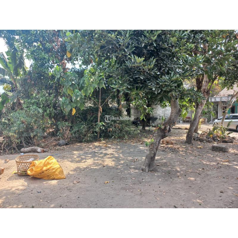 Dijual Tanah Kavling Luas 123m2 Dekat RS Bhayangkara Di Kalasan - Sleman