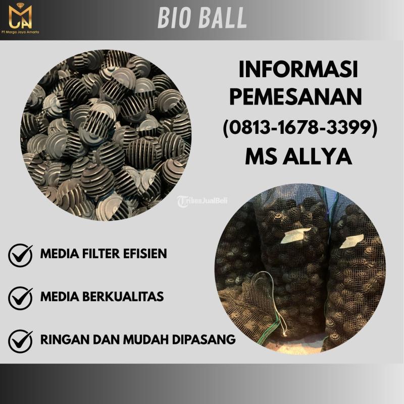 Hot Item Bio Ball -  Blitar