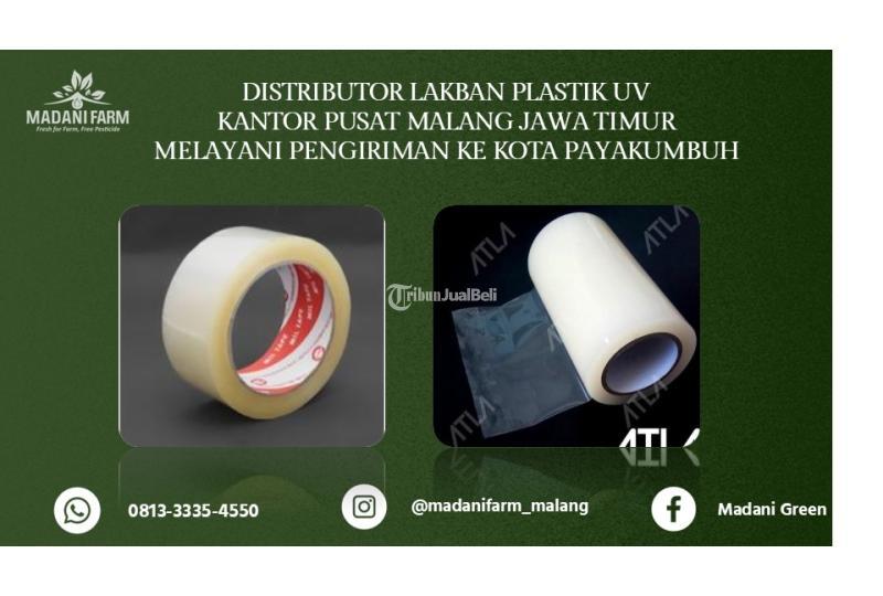 Agen Grosir Lakban UV - Payakumbuh