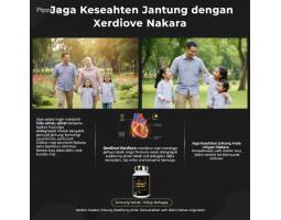 Obat Jantung Koroner Herbal Xerdiove Nakara Terdaftar BPOM - Tanjung Jabung Timur