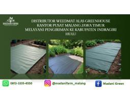  Agen Grosir Weedmat - Indragiri Hulu