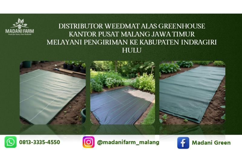  Agen Grosir Weedmat - Indragiri Hulu