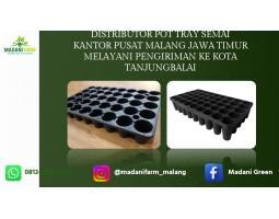  Pabrik Pusat Agen Grosir Pot Tray - Tanjungbalai