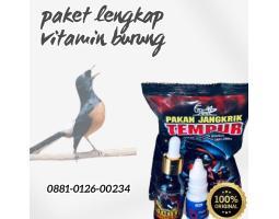 Paket Lengkap Vitamin Burung - Serang