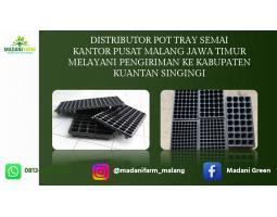 Grosir Pot Tray - Kepulauan Singingi
