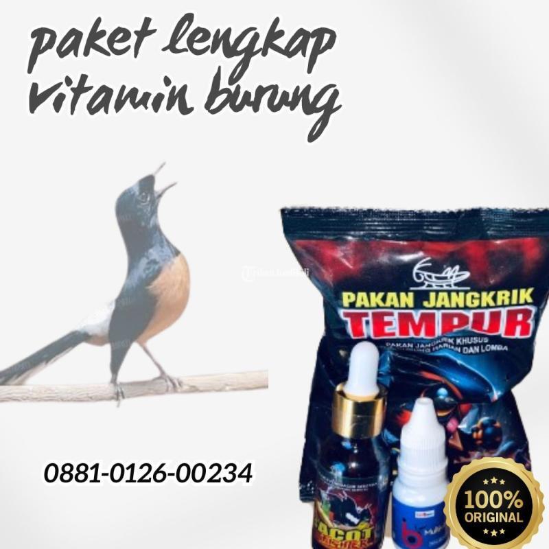 Paket Lengkap Vitamin Burung - Serang