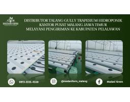 Agen Grosir Talang Gully - Pelalawan