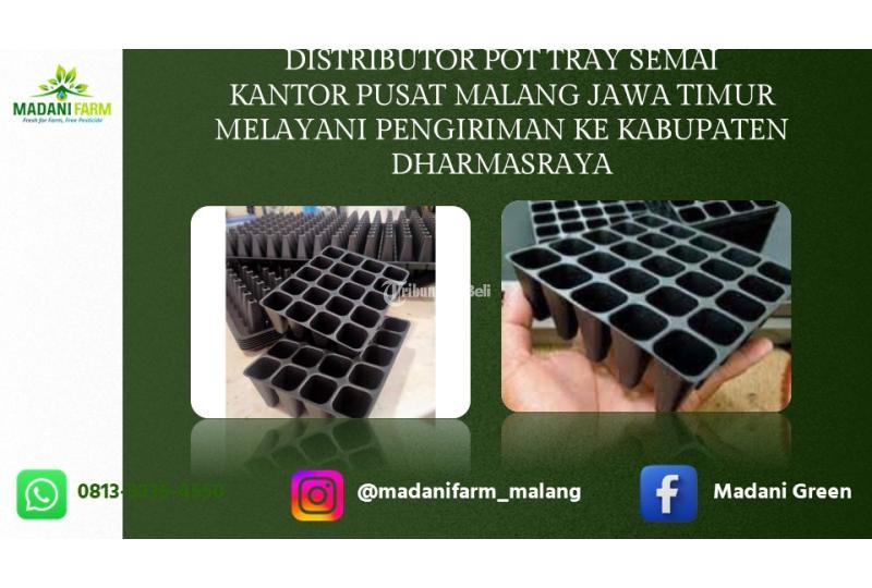 Promo Pabrik Pusat Agen Grosir Pot Tray - Dhamasraya