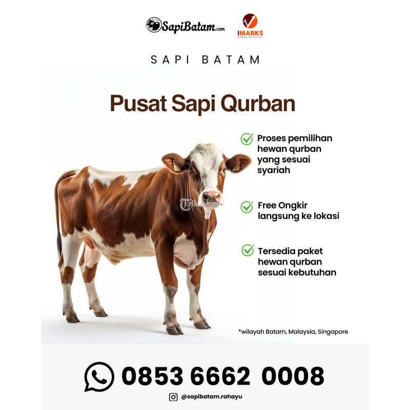 Hewan Qurban 2026 di Sagulung Rahayu - Batam