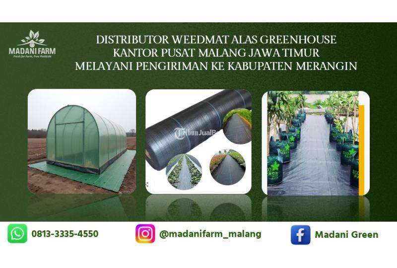 Agen Grosir Weedmat - Merangin