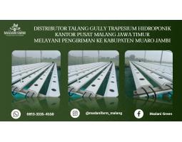 Agen Grosir Talang Gully - Muaro Jambi