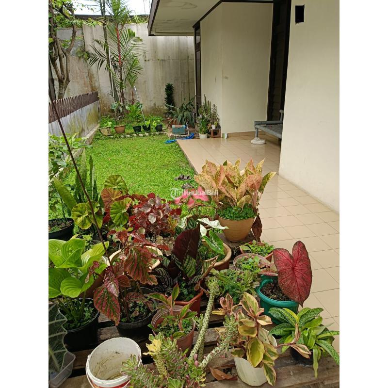 Dijual Rumah Di Cibaligo Permai Cihanjuang Parongpong - Bandung Barat