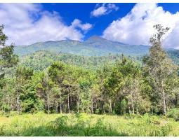 Jual Tanah 4 Hektar Siap Bangun Wahana Wisata - Karanganyar