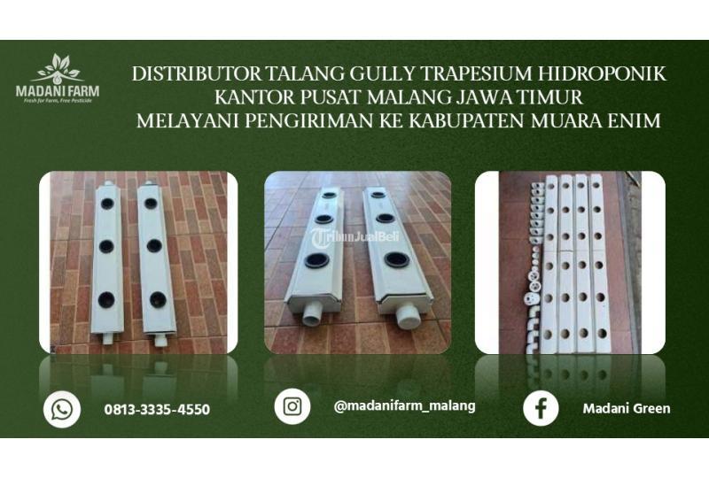Agen Grosir Talang Gully - Muara Enim 