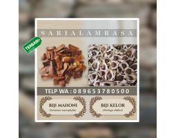 Suplier Biji Mahoni - Bandung