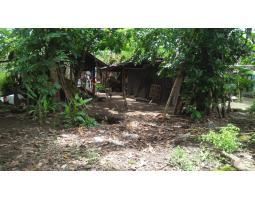 Jual Tanah Kosong 195 m2 Dekat Kota Bantul Cocok Untuk Rumah Tinggal - Yogyakarta