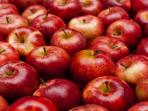 Jangan Makan Apel Bersama Kulitnya, Begini Bahayanya Bagi Kesehatan Tubuh