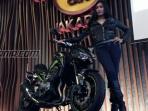 Kawazaki Luncurkan Moge Edisi Khusus dan Terbatas!