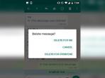 Terungkap, Ternyata Begini Cara Mudah Melihat Pesan WhatsApp yang Sudah Dihapus