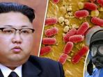 Korea Utara Diduga Kembangkan Senjata Biologis Antraks, Berikut Fakta Mengejutkan Penyakit Mematikan Ini