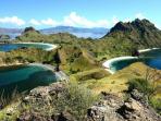 Jelajah Pulau Komodo - Mulai Dari Snorkeling Hingga Melihat Indahnya Perbukitan di Gili Lawa