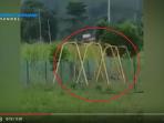 Seram! Anak Nangis Saat Dibawa ke Taman Bermain, Perhatikan Ayunannya