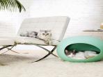 Jangan Ngaku Sayang Hewan Peliharaan Jika Tak Mengenal Furnitur Khusus Ini. Selain Nyaman, Desainnya Juga Tak Kalah Lucu dengan Hewannya