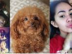 Meskipun Muslim, Deretan Artis Ini Tetap Menjadi Pecinta Anjing Lho! Siapa Saja Ya?