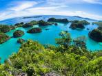 Asyik, Ini Dia Cara Mudah Dapat Ongkos Murah Wisata ke Raja Ampat