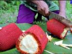 Buah Mujarab Ini Diklaim Bisa Menyembuhkan Berbagai Penyakit Ganas Termasuk Kanker!