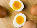 Mengejutkan, Ini Dia Fakta Menarik Seputar Telur yang Tak Banyak Orang Tahu, dari Cara Menyimpan hingga Mengkomsumsinya