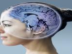 Tips Mudah Jaga Kinerja Ingatan Tetap Baik Walaupun Usia Terus Bertambah. Ini Penjelasannya