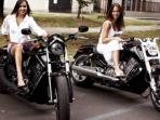 Hanya dengan Rp 500 Ribu Kamu Sudah Bisa Mengendarai Harley Davidson Keliling Pulau Dewata Lo, Begini Syaratnya
