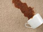 Karpet Ternoda Kopi yang Tumpah? Tenang, 5 Langkah Simpel Ini Dijamin Bikin Kinclong Lagi!