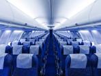 Tak Banyak yang Tahu, Ternyata Ini Alasan Ilmiah Kenapa Kursi Pesawat Berwarna Biru