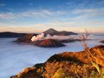 Bukit Penanjakan Ditutup Mulai 11 September, Ini Dia Tempat Alternatif Melihat Matahari Terbit di Bromo yang Tak Kalah Keren