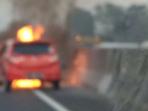 Heboh, Mobil Toyota Agya Terbakar di Jalan Tol! Penyebabnya?