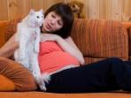 Ibu Hamil Perhatikan! Ini Bahaya Kotoran Kucing dan Virus Yang Terkandung Didalamnya!