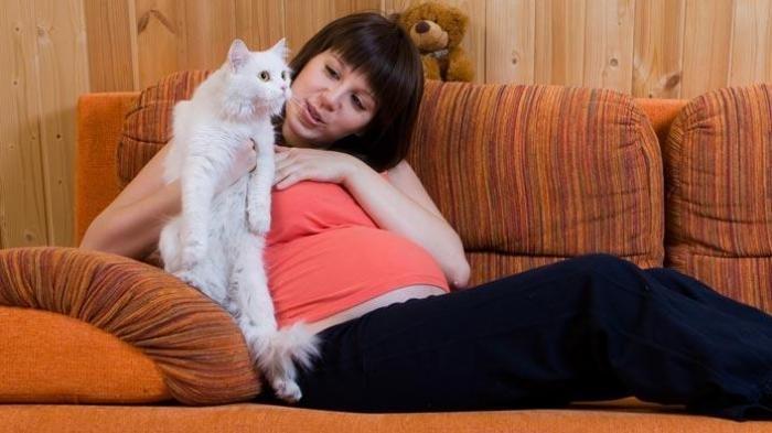 Ibu Hamil Perhatikan! Ini Bahaya Kotoran Kucing dan Virus Yang Terkandung Didalamnya!