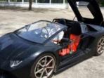 Kreatif! Petani Ini Buat Mobil Lamborghini Aventador dari Sesuatu yang Tak Terduga