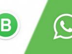 Biar Gak Salah Paham, Simak Nih 7 Perbedaan WhatsApp Business dengan WhatsApp Messenger yang Wajib Kamu Tahu