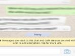 Tahu Gak Sih? Ternyata Ini Lho Fungsi Enkripsi End-to-End yang Sering Muncul di Pesan WhatsApp 