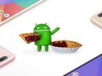 Deretan HP Xiaomi yang Kebagian Update Android 8.1 Oreo dan 9.0 Pie, Ponsel Kamu Termasuk?