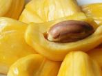 Ini Efek Samping Saat Ibu Hamil Makan Nangka