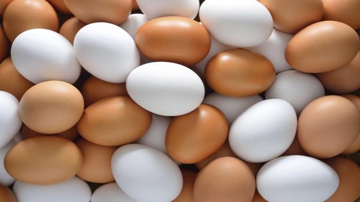 Manakah yang Lebih Baik & Lebih Sehat, Telur Ayam Kampung atau Negeri?