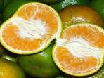 3 Manfaat Serabut Putih pada Jeruk yang Sering Kita Hilangkan Saat Akan Memakannya