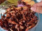 Segudang Manfaat Kesehatan dari Makan Belalang meski Banyak yang Pilih untuk Menghindarinya